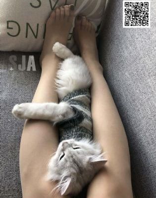 西西里的美丽传说 电影资源_720电影免费在线