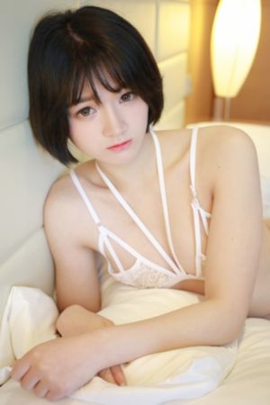 完美世界在线观看免费完整观_BD国语手机在线观看