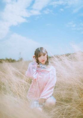 珠帘玉幕新剧电视剧免费观看_日本电影在线